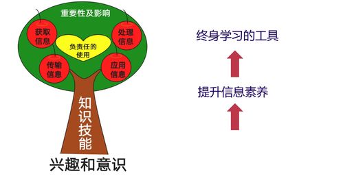 教师资格证信息技术课程标准