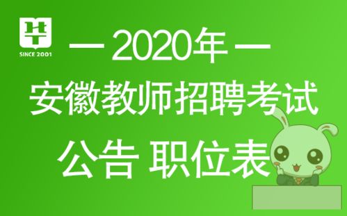 2020中小学教师招聘公告 职位表 安徽教师教育网